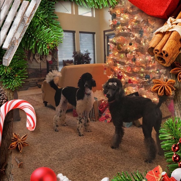 Meet your Posher, Rebecca - Picture 4 of 8